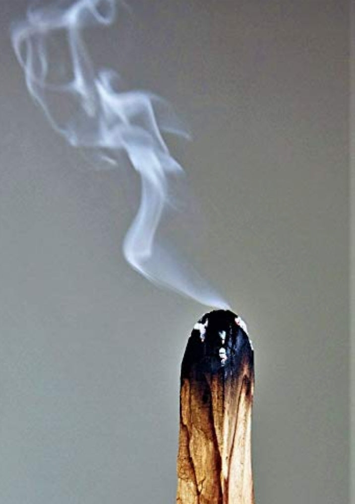 Palo Santo Smudge Stick